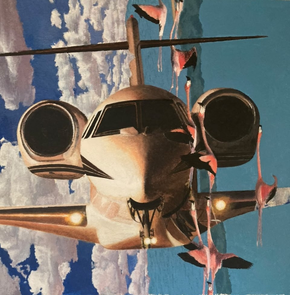 Δ Latitude original aircraft and flamingos painting